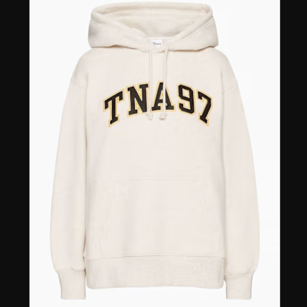 Aritzia Cozy Boyfriend Hoodie